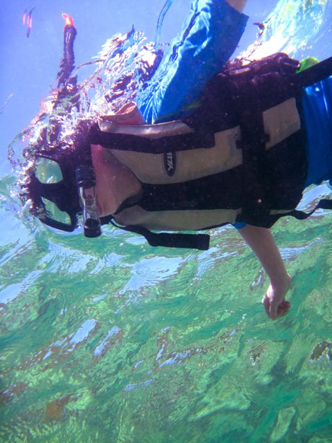 Full-Day Snorkeling Adventure From Kota Kinabalu - Safety Guidelines