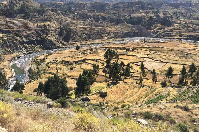 Full Day Tour Including Transfer to Puno / Colca Canyon - Accessibility and Additional Info