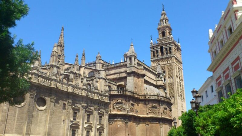 Full-Day Tour of Seville From Costa Del Sol - Participant Information