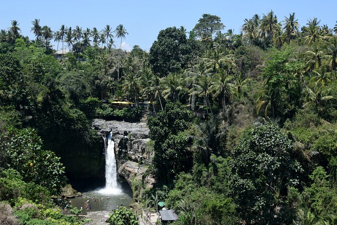 Full Day Tour to Best of Ubud With Jungle Swing - Pickup Information