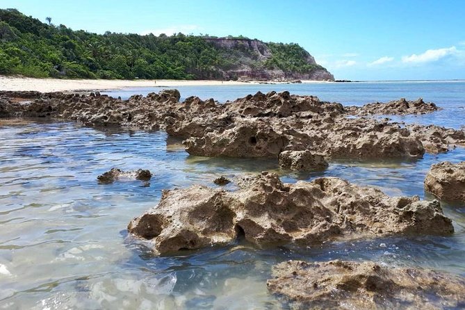 Full-Day Tour to Praia Do Espelho From Porto Seguro - Inclusions and Accessibility