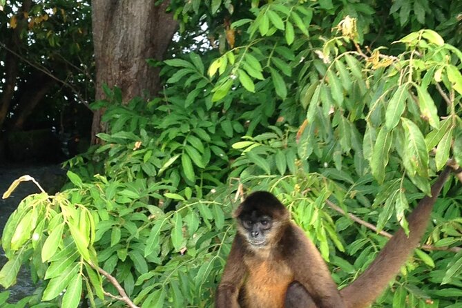 Full-Day Trip to Nicaragua - Inclusions