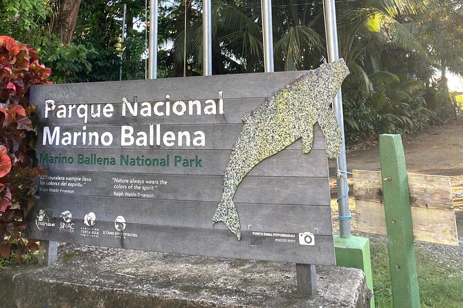 Full Day Waterfall Adventure & Whale's Tail Nat Park - Marino Ballena National Park