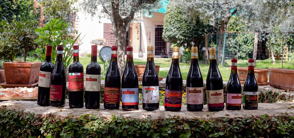 Fumane: Valpolicella Wine Tasting Tour in a Medieval Court - Wine Tasting Experience