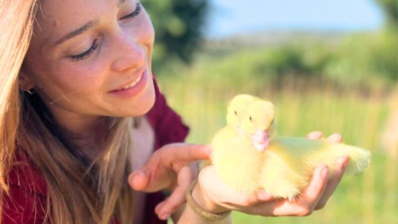 Gallura: Picnic on a Farm With Animals - Typical Sardinian Products