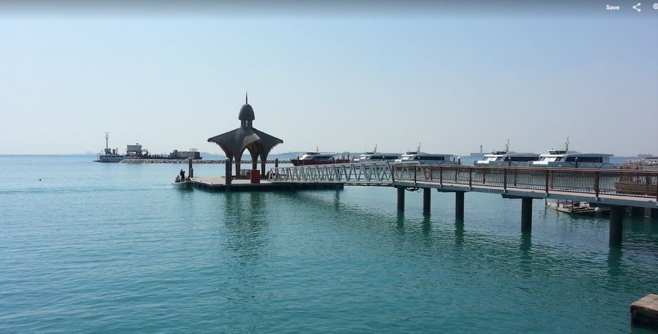 Gandía: History, Beach & Albufera Natural Park Private Tour - Cultural and Historical Experience