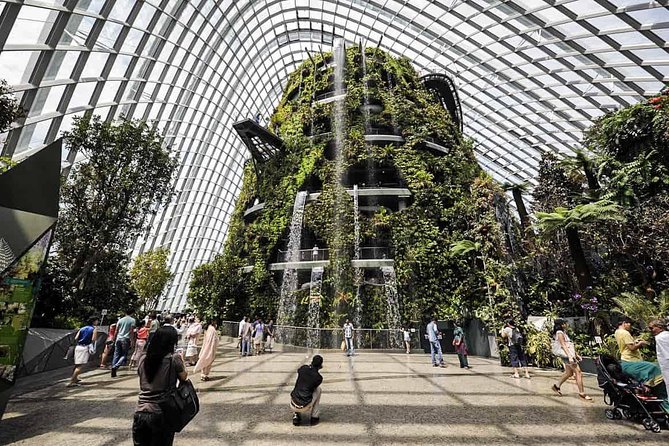 Garden by the Bay With Two Domes (Shared Transfer) - Exploring the Two Domes