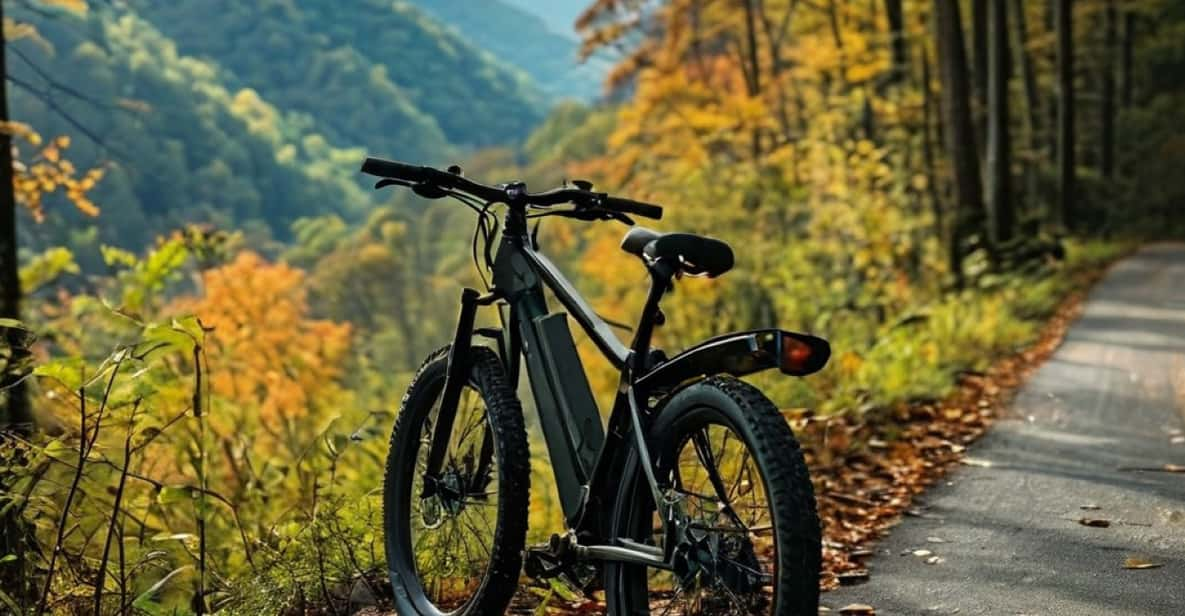 Gatlinburg: E-Bike Rentals - Group Size and Meeting Point Instructions