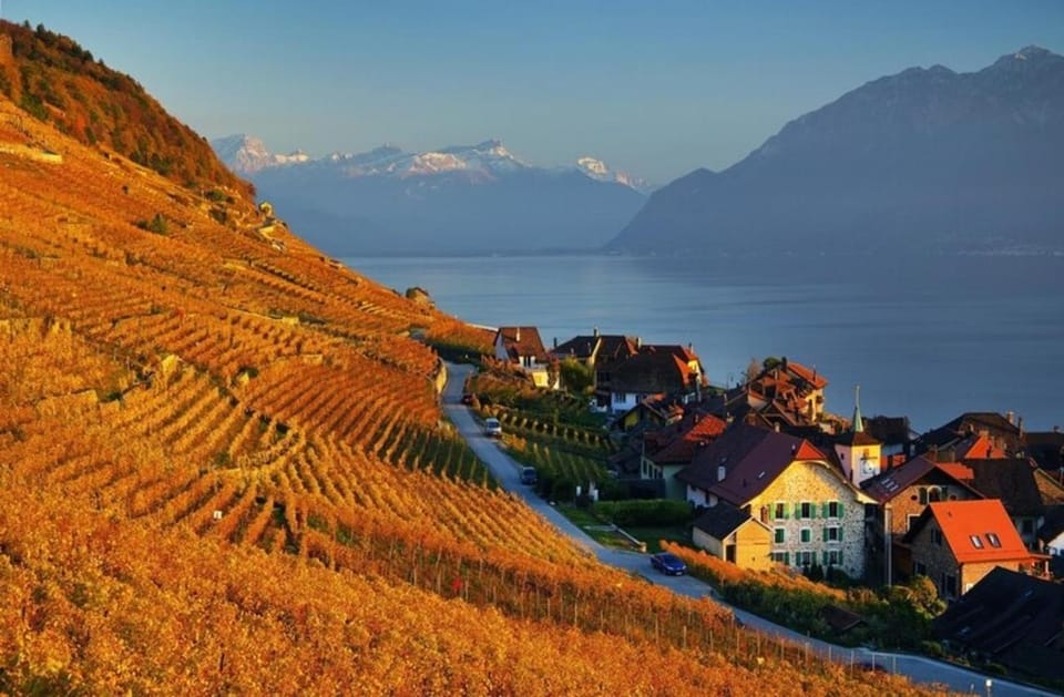 Geneva: Guided Wine Tour - Wineries and Wine Tasting