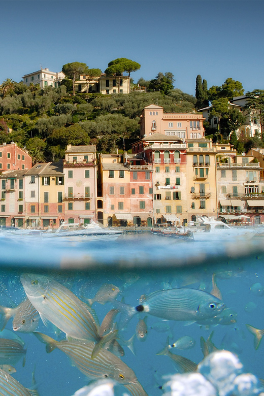 Genoa: Half-Day Tour to Portofino - Scenic Transportation Details