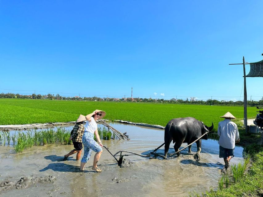 Get Close to Farmers - Exciting Itinerary Highlights