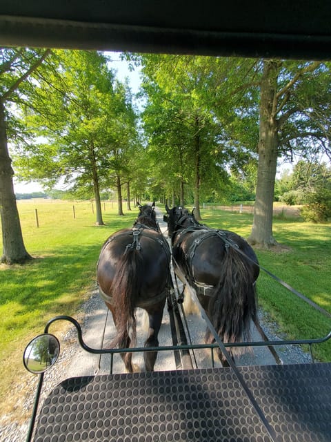 Gettysburg: Horse-Drawn Carriage Tour Countryside & Orchards - Location and Pricing