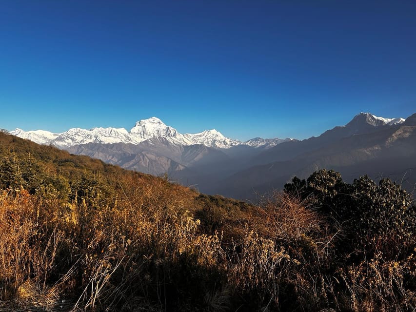 Ghorepani Poonhill Trek - Inclusions and Services