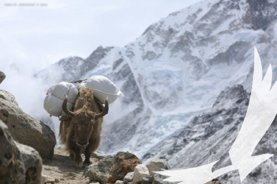 Gokyo Lakes With Everest Base Camp - Accommodation Options