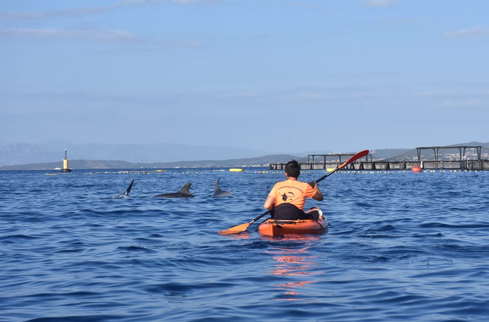 Golfo Aranci: Sunrise Dolphin Kayak Tour With Breakfast - Location and Duration