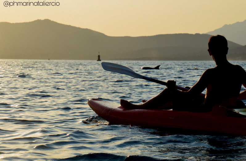 Golfo Aranci: Sunset Dolphin Kayak Tour With Aperitif - Tour Inclusions