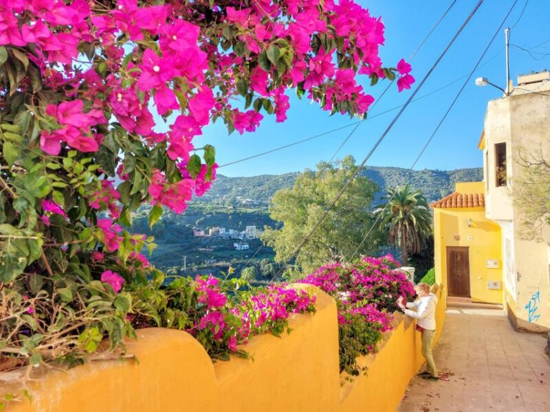 Gran Canaria 7 Highlights Small Group Tour With Tapas Picnic - Pickup Locations and Times
