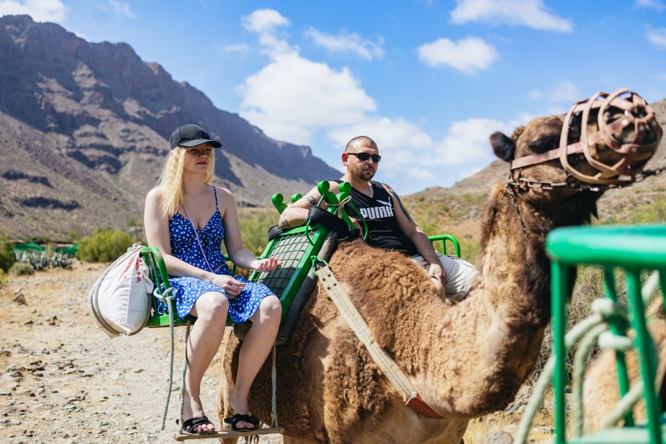 Gran Canaria: Camel Ride Safari W/ Optional Food & Transport - Camel Ride Experience