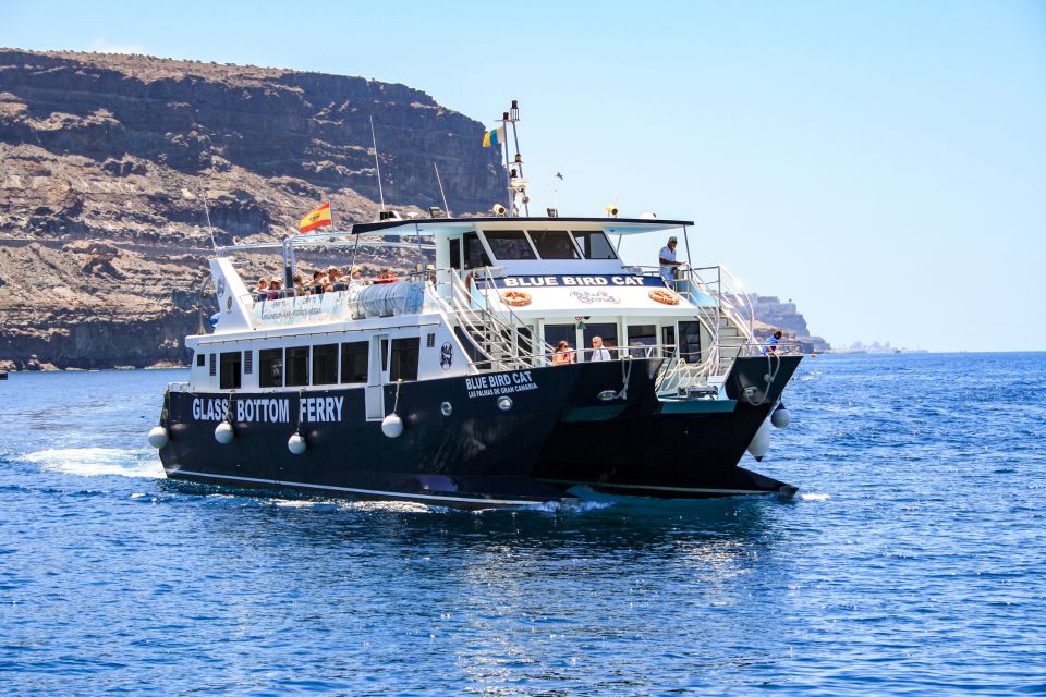 Gran Canaria: Catamaran Dolphin Watch Cruise With Snorkeling - Cruise Details