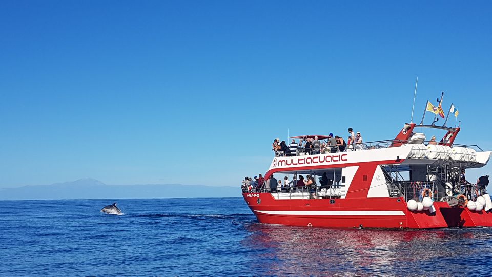 Gran Canaria: Dolphin and Whale Watching Cruise - Catamaran Specifications