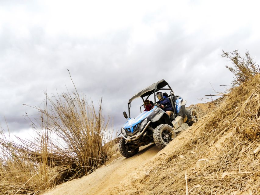 Gran Canaria Guided Buggy Tour - Tour Details