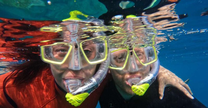 Gran Canaria: Snorkel Tour With Boat on the West Coast - Experience Highlights
