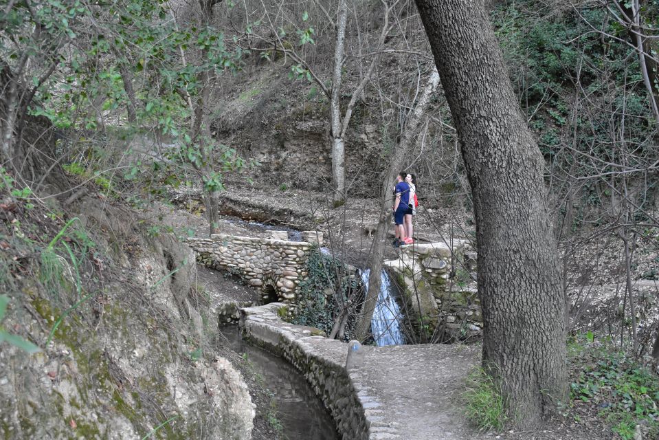 Granada: Alhambra Natural Park Hiking Tour - Tour Details