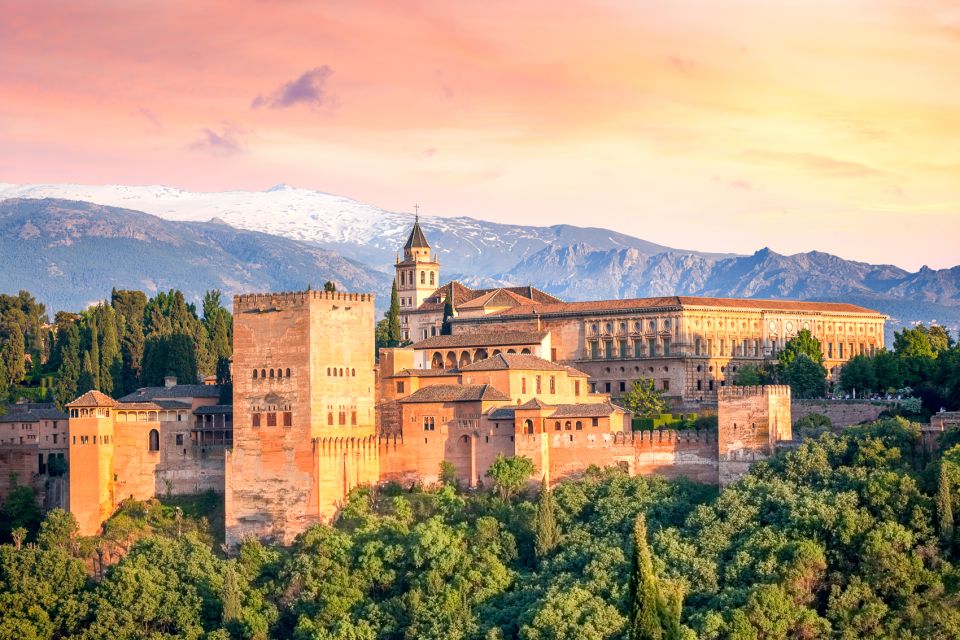 Granada: Fast-Track Alhambra & Nasrid Palaces Guided Tour - Tour Options