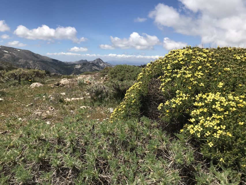 Granada: High Sierra Nevada Hiking Tour - Itinerary