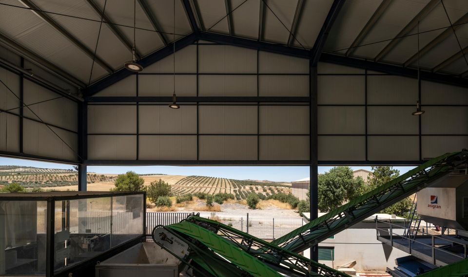 Granada in Evoo: Picnic Among Olive Trees and Unique Views - Olive Oil Extraction Process