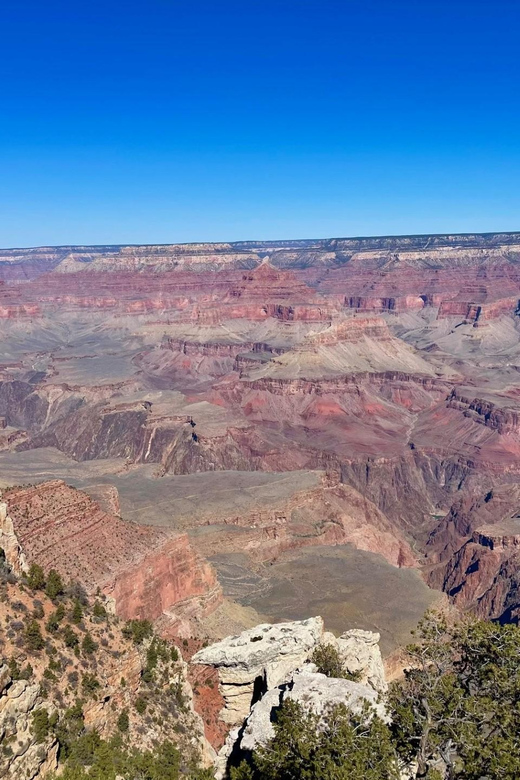 Grand Canyon National Park Tour - Wildlife Sightings Along the Route