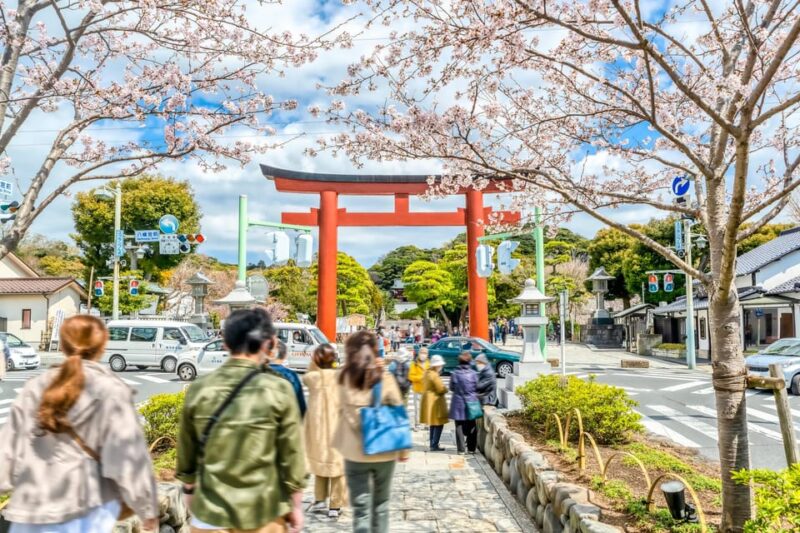 Greedy Gourmet and Temple Tour in Kamakura - Inclusions of the Tour