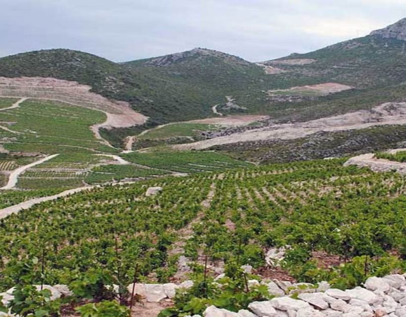 Group Tour From Dubrovnik: Ston and Peljesac Wineries Tour - Transportation and Logistics