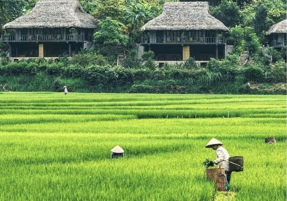 Group Tour: Mai Chau Full Day Trip From Hanoi - Unique Highlights