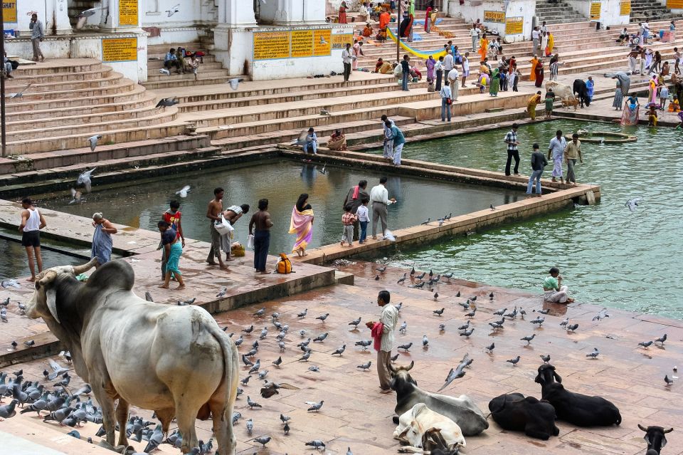 Guided Day Tour of Pushkar From Jaipur - Brahma Temple Exploration