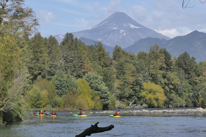 Guided Kayak Trip on Liucura River - Scenic Highlights of the River