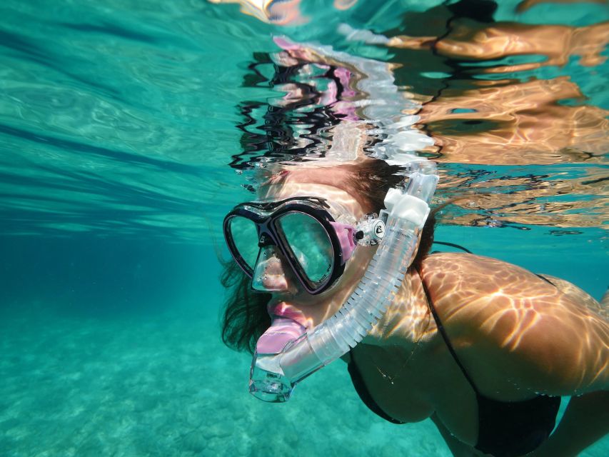 Guided Snorkel in Barcelona Beach - Inclusions and Requirements