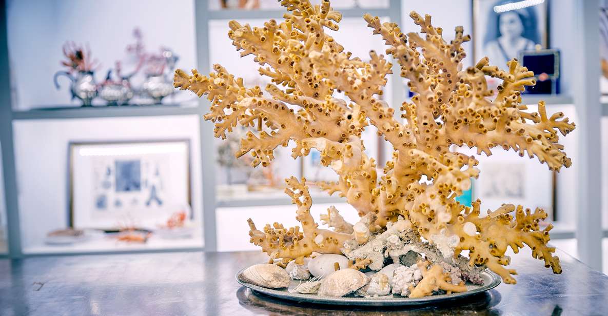 Guided Tour of the Coral Museum in Sciacca - Experience Highlights