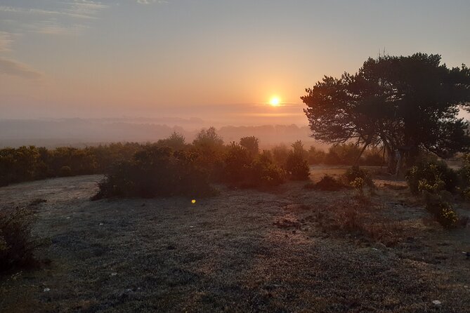 Guided Walking Tour of New Forest National Park in Hampshire - Historical Context and Significance