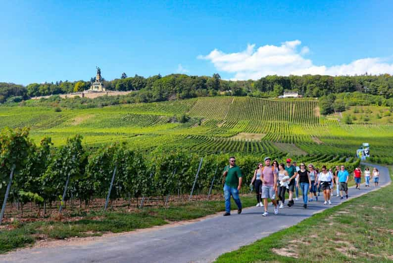 Guided Wine Hikes With 4 Wines and Cable Car Ride - Tasting and Wine-Related Activities