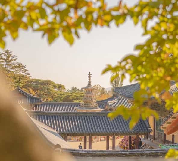 Gyeongju Private Car Tour With a Licensed Tour Guide - Cultural Experience