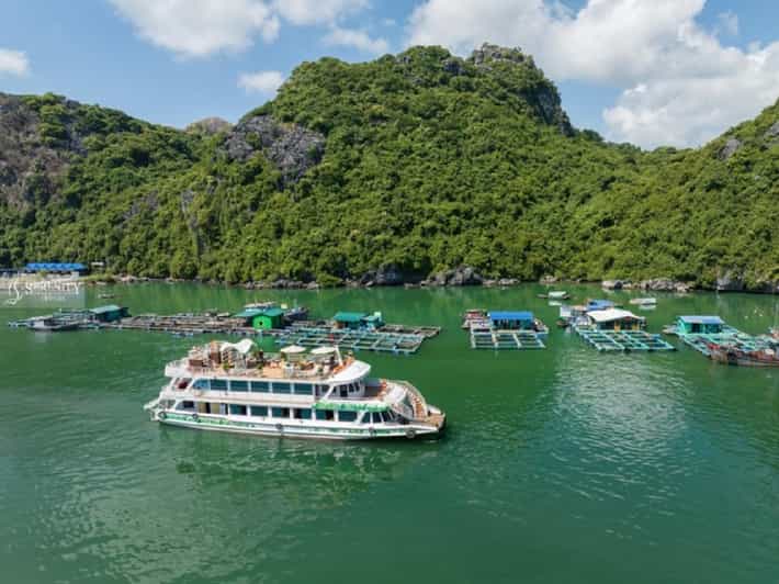 Ha Noi : Lan Ha Bay Day Cruise With Kayaking - Swimming Tour - Scenic Experience