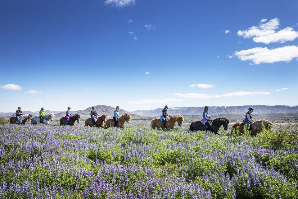 Hafnarfjörður: Horseback Riding Tour in Reykjavik Area - Safety and Gear