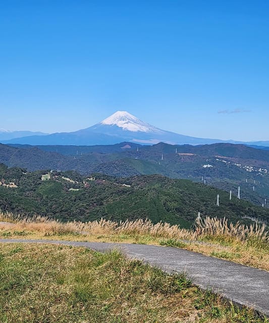 Hakone One Day Private Tour With English Speaking Driver - Transportation Comfort