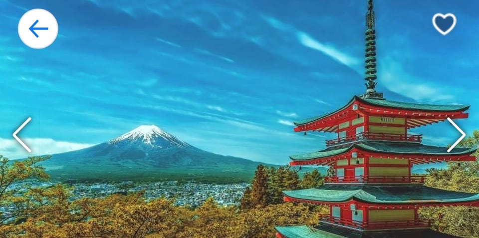 Hakone Private Custom Tour With English Speaking Guide - Activities and Experiences