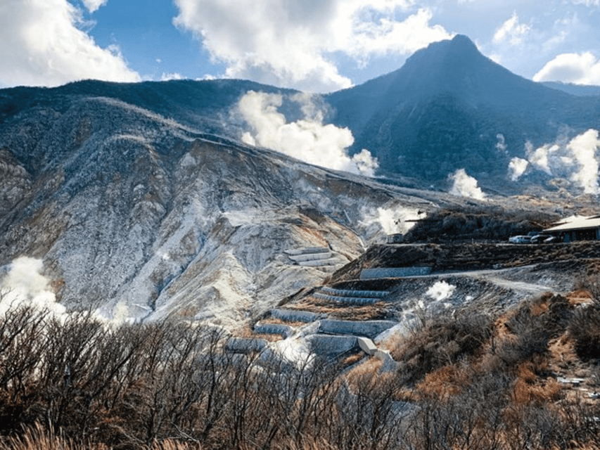 Hakone: Private Sightseeing Tour With English-Speaking … - Preparation and Important Information