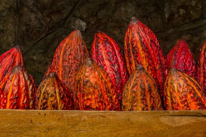 Half Day Bliss Cacao Farm Adventure & Guayaquil City Highlights - Farmer Lifestyle and Fermentation
