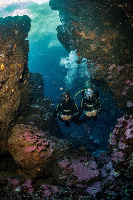 Half Day Dive Trip for Certified Divers - Included Services and Equipment