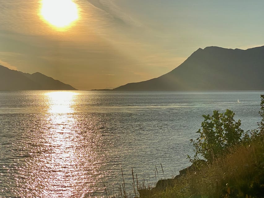 Half-Day Guided Paddle Tour on Knik River - Tour Highlights