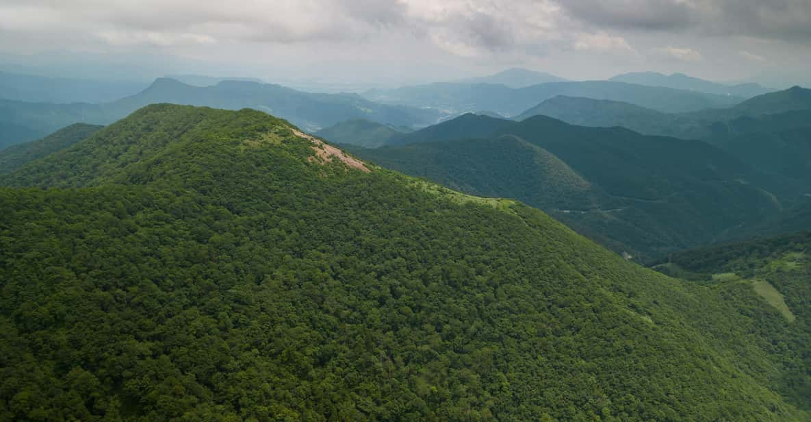 Half Day Hike To the Top of Old Mikuni-kaido Pass - What to Expect